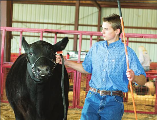 Livestock show photos, results