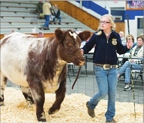 Livestock show photos, results
