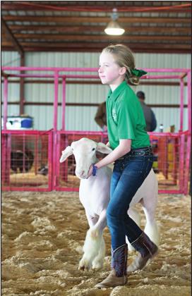 Livestock show photos, results
