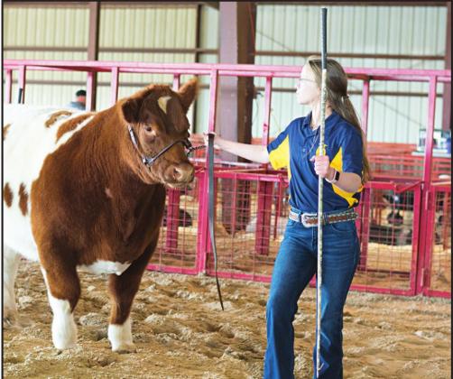 Livestock show photos, results