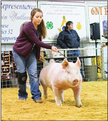 Livestock show photos, results