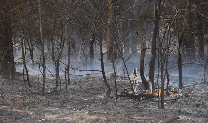 Grass fire erupts