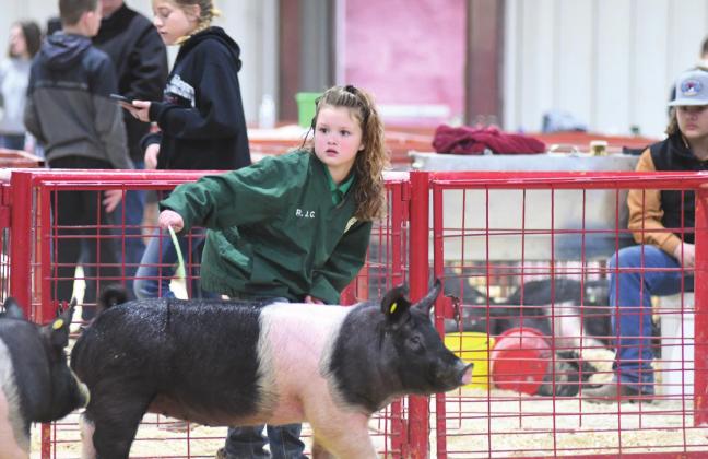 Lincoln County Livestock Show