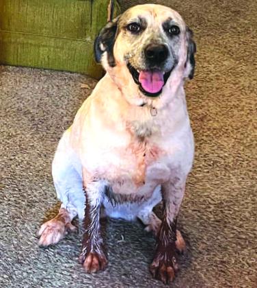 Violet would like to talk about the benefits of mud baths. Photo/Emily Kalka
