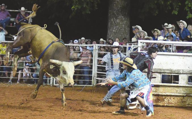 Chandler rodeo
