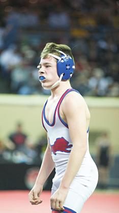 State wrestling