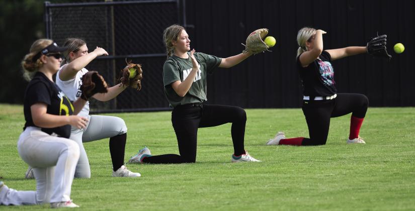 Area softball