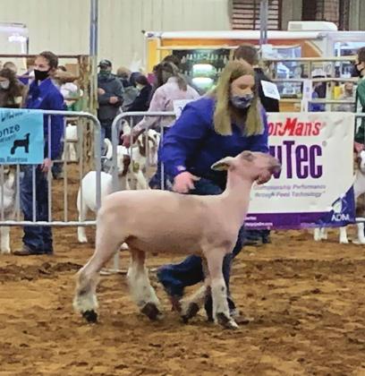 Central District Livestock Show