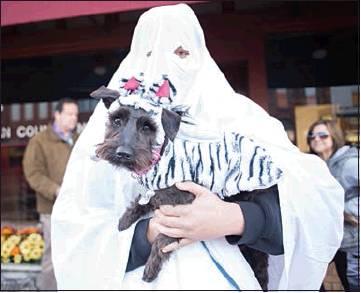 Focus on: Halloween
