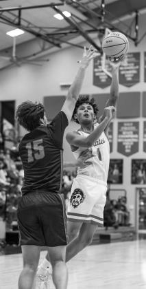 Area basketball