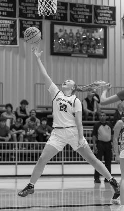 Area basketball