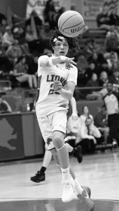 Area basketball