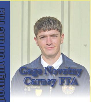 Spotlight on the FFA