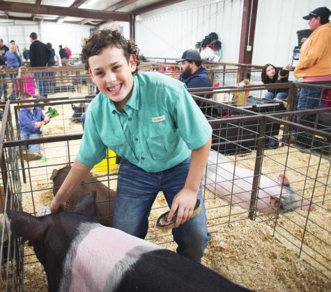 Meeker jackpot hog show