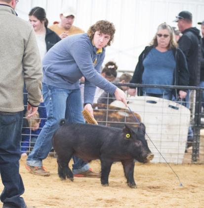 Meeker jackpot hog show