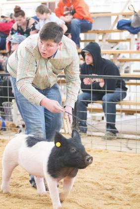 Meeker jackpot hog show