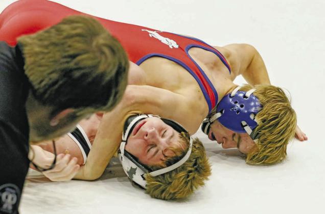 Sports week in pictures