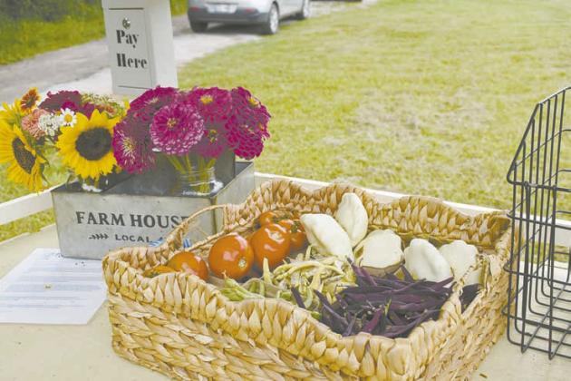 Self-service farms