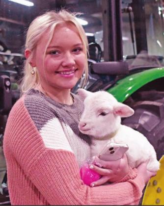 Central District livestock show