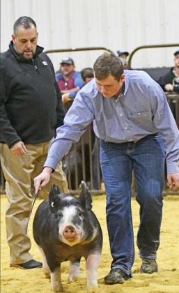Central District livestock show