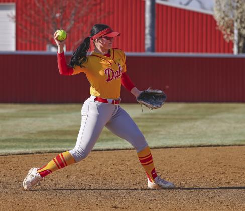 Area softball