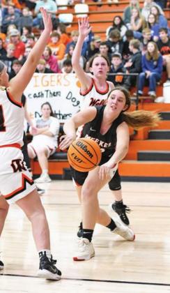 First full week of basketball