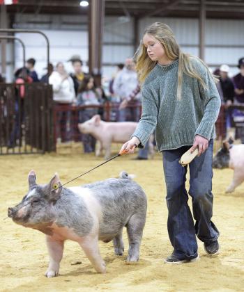 Meeker jackpot swine show