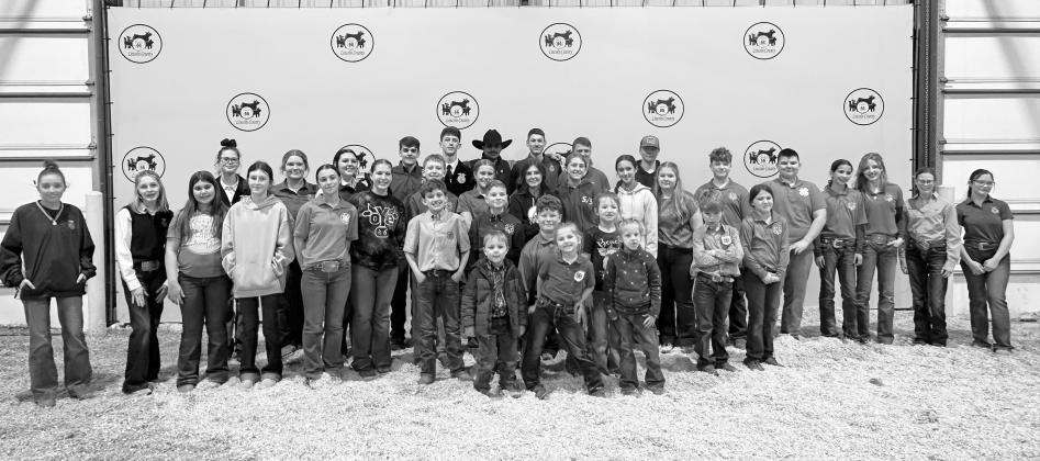 Local livestock shows