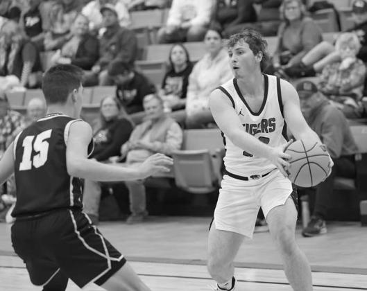 Area basketball in photos