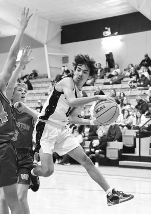 Area basketball in photos