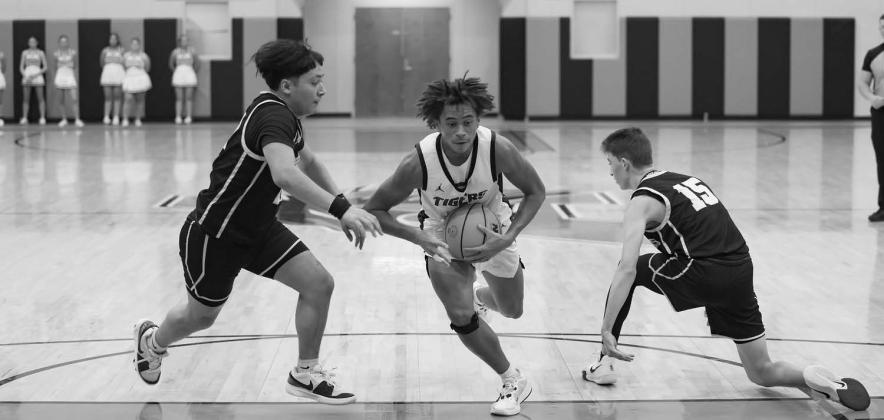 Area basketball in photos
