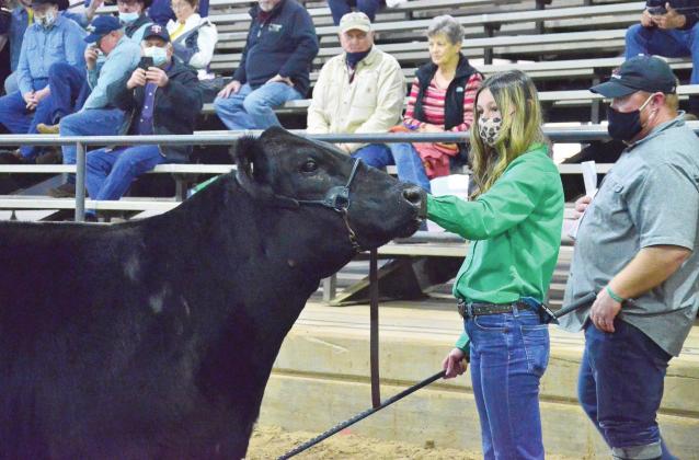 Pott County Livestock Show