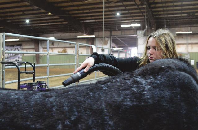 Pott County Livestock Show