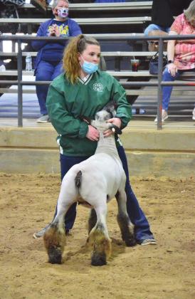 Pott County Livestock Show