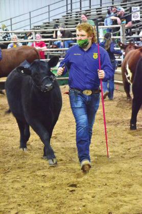 Pott County Livestock Show