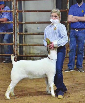 Pott County Livestock Show