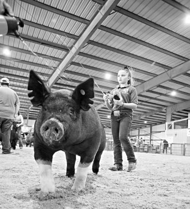 Pictured above, Haidyn Brown of Carney shows her hog at the 2020 Lincoln County Free Fair. Photo/Brian Blansett.