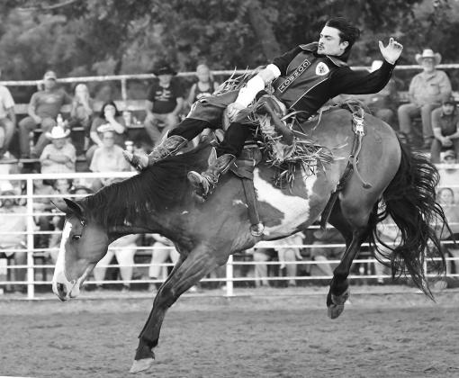 Chandler rodeo
