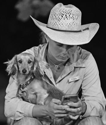 Chandler rodeo