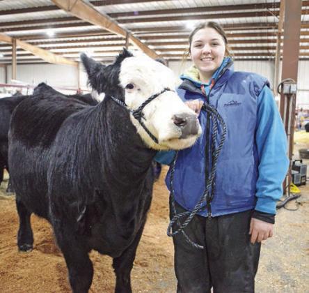 Lincoln County Livestock Show