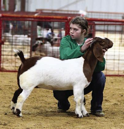 Lincoln County Livestock Show