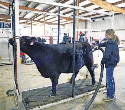 Lincoln County Livestock Show
