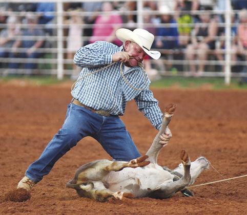 Chandler rodeo
