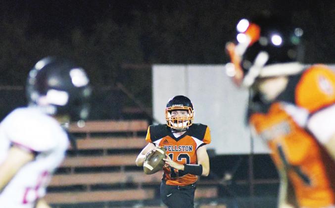 Tigers fall to OBA on Pink Night