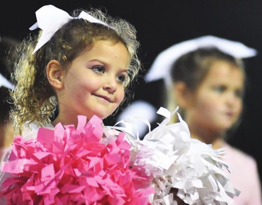 Tigers fall to OBA on Pink Night