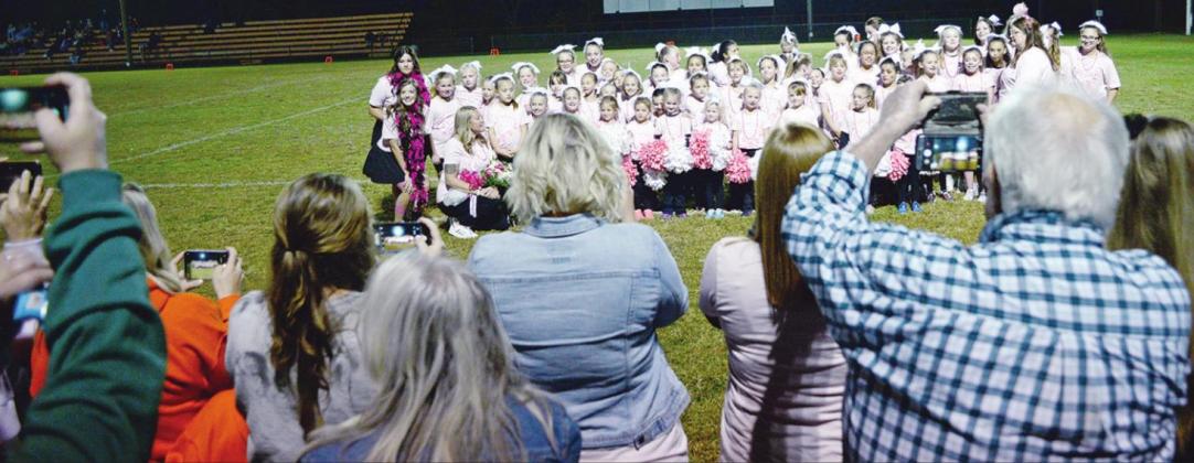 Tigers fall to OBA on Pink Night