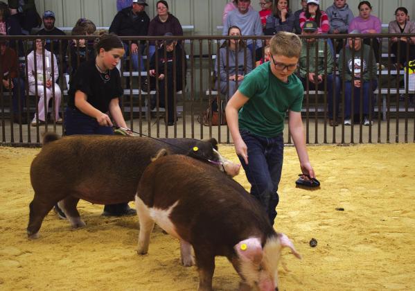 Allen Simon (front) and another young student take part in the local livestock show at the show barn on the Prague High School campus on Feb. 13. A live auction took place before the show started. Photo/Emily Kalka