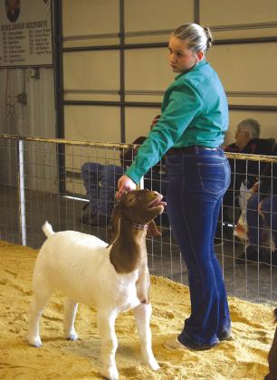 KalenaTroupe keeps her cool though her goat has other ideas atWellston’s loca show. Photo/Emily Kalka