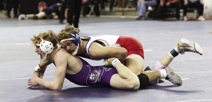 State wrestling tournament