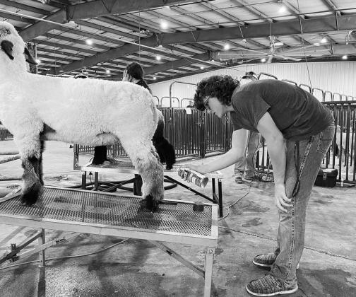 Pott County Fair results